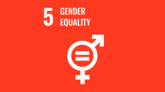 Gender equality