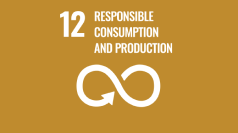 Responsible consumption and production