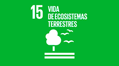 Vida de ecosistemas terrestres